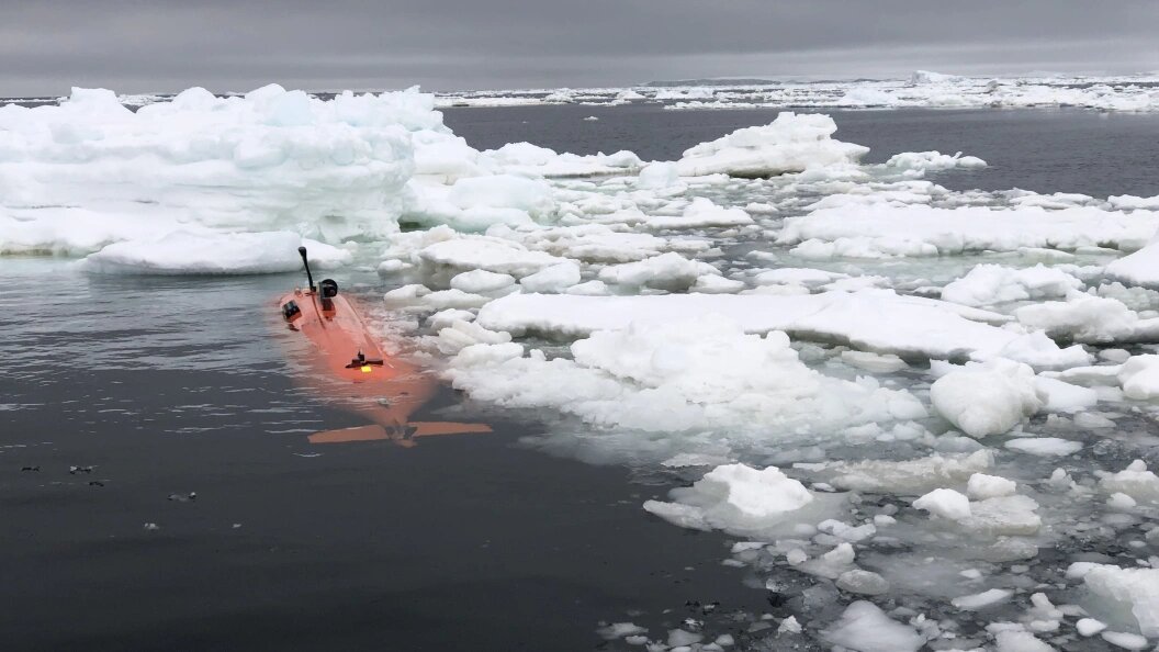    Cover Images/Keystone Press Agency/Globallookpress