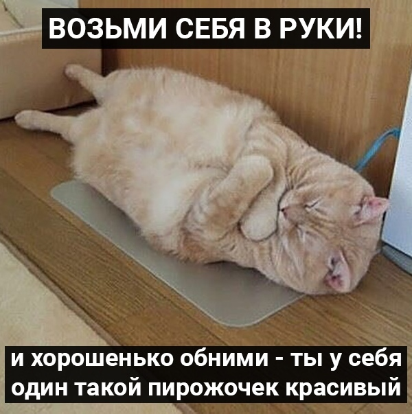 добавлю котика вам для настроение,знаю вам трудно и вы справитесь)