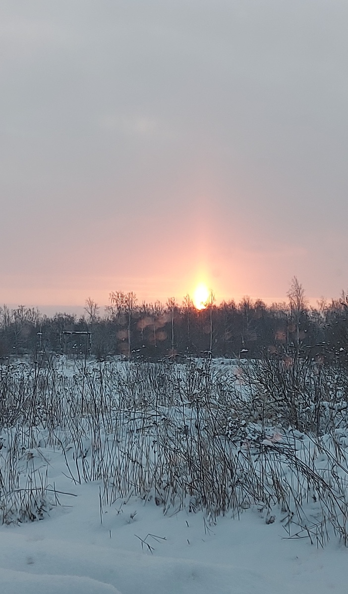 Рассвет 04.02.2025