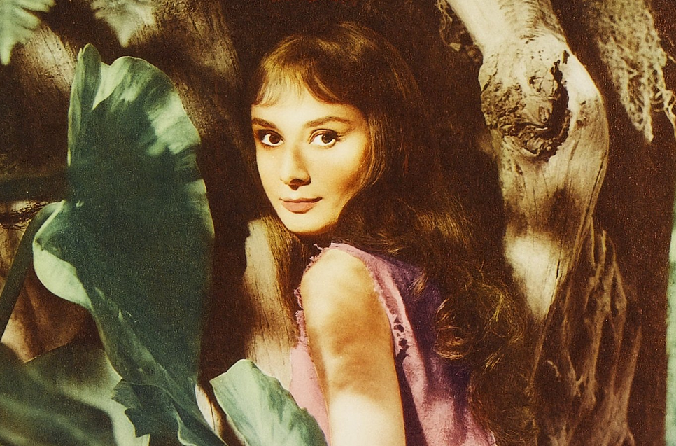 Одри Хепберн в фильме "Зеленые поместья"(1959).