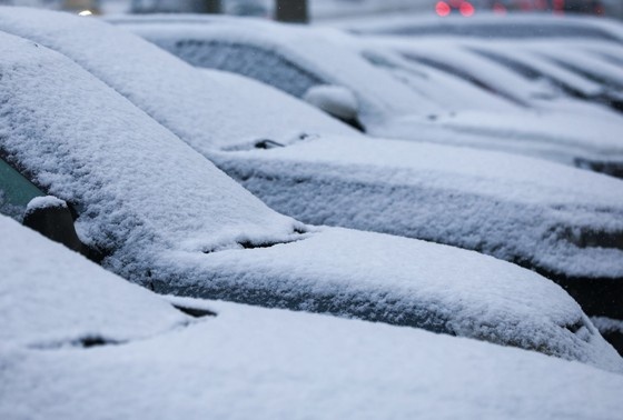    Алексей Белкин/NEWS.ru