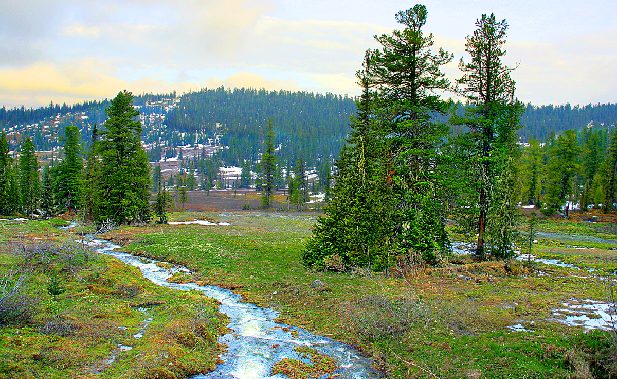 Фотография, стихотворение Василия Глуцкого