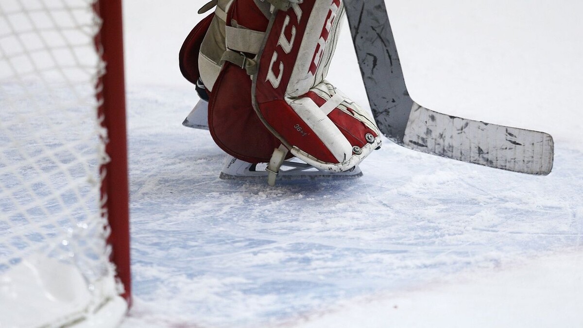    Фото: телеканал «Краснодар»