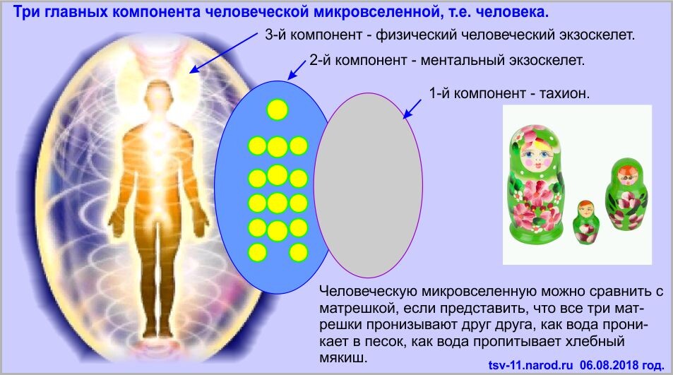 Матрица и человеческая микровселенная.