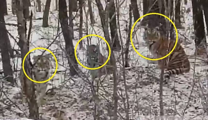    Источник фото: