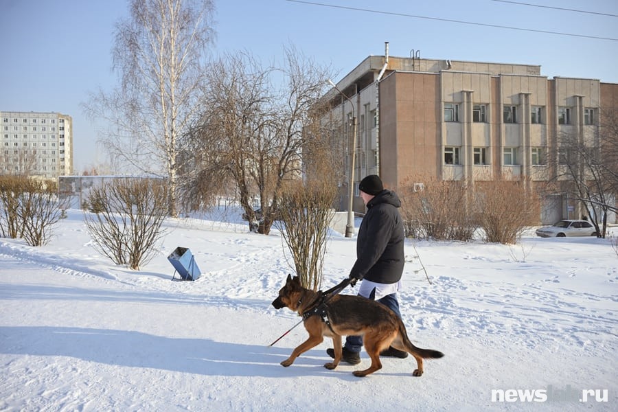 Александр Лукке и Дункель на пути из университета в общежитие