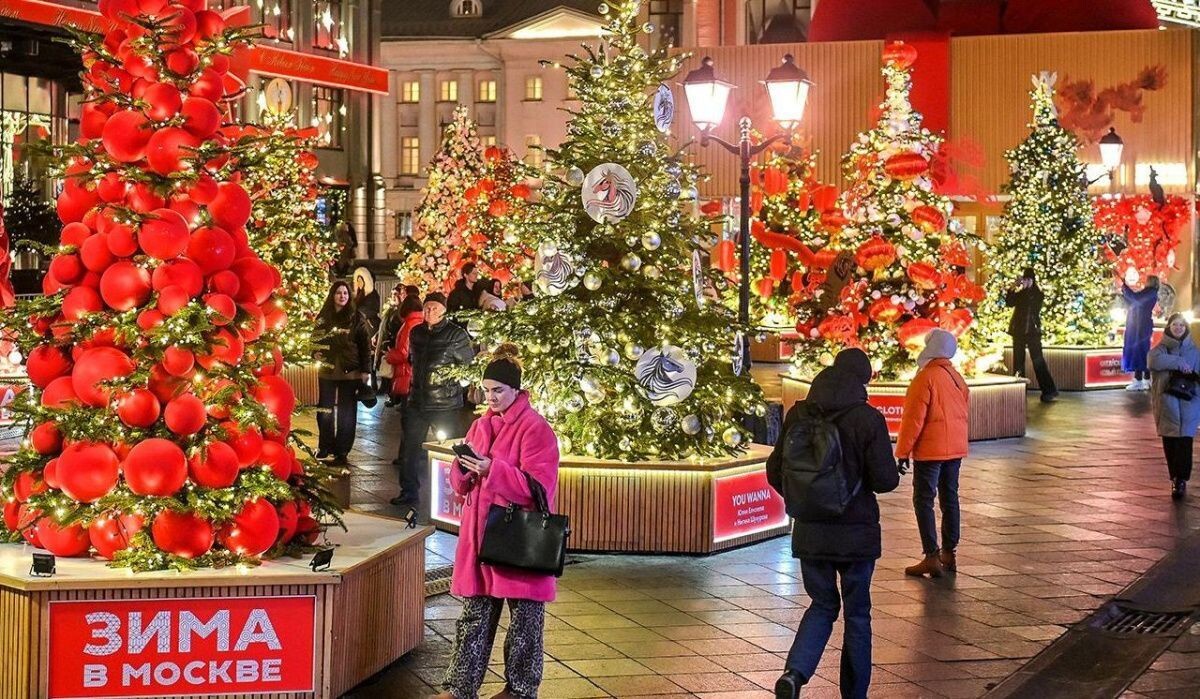     Ели. Источник: mos.ru Автор фото: Пресс-служба Мэра и Правительства Москвы