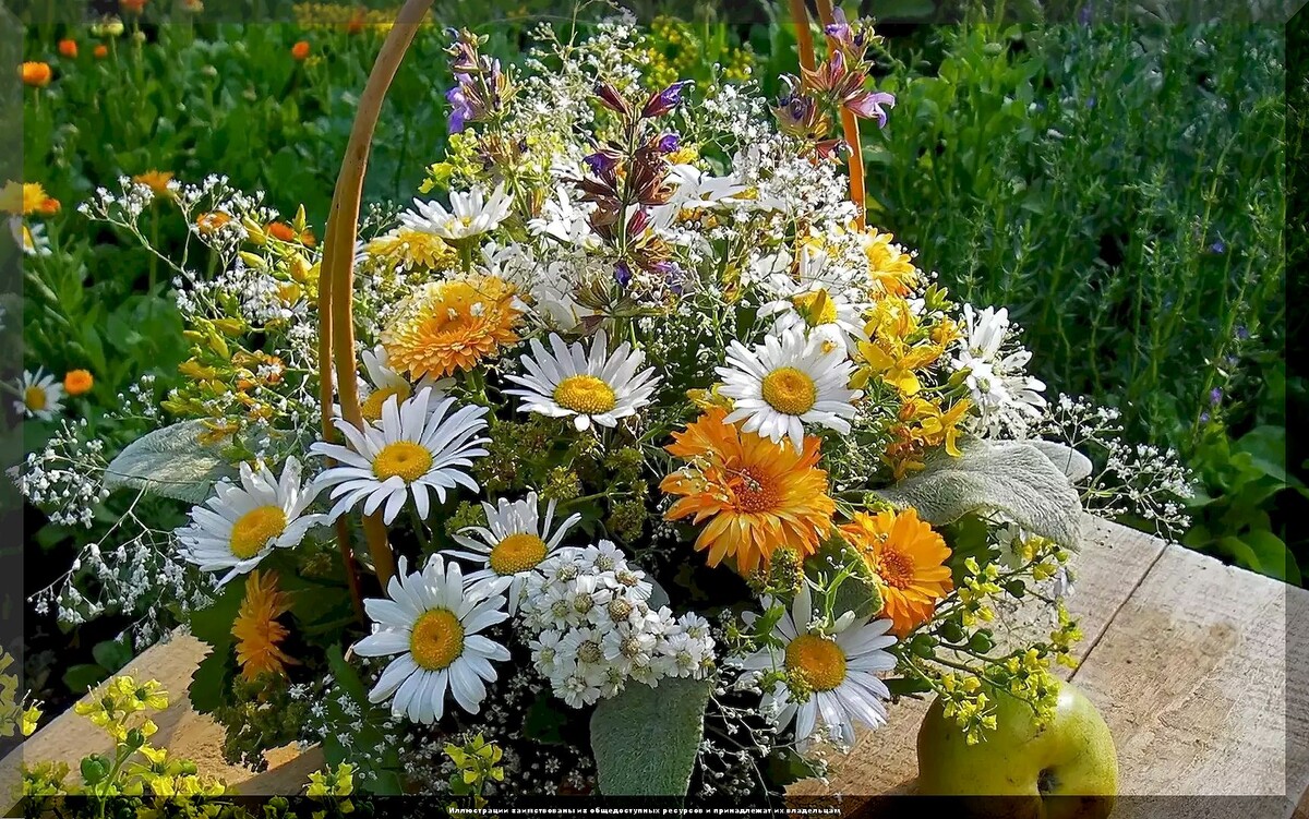 https://vk.com/photo-159774511_457269458