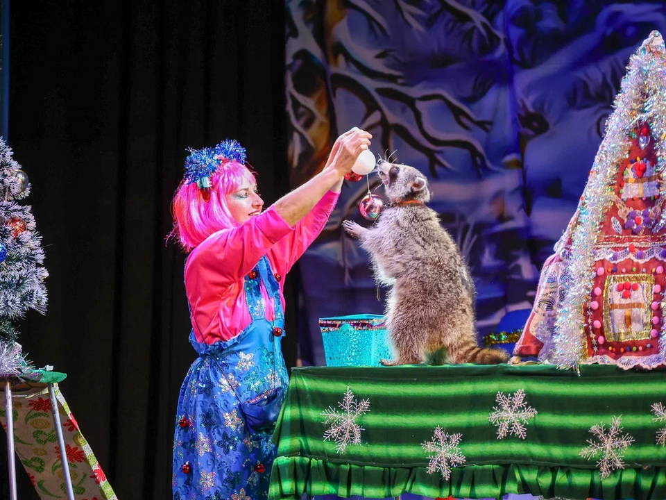     Фото: Марат Алиев