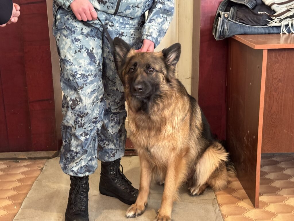    Фото: В курсе.ру Полина Анкушина