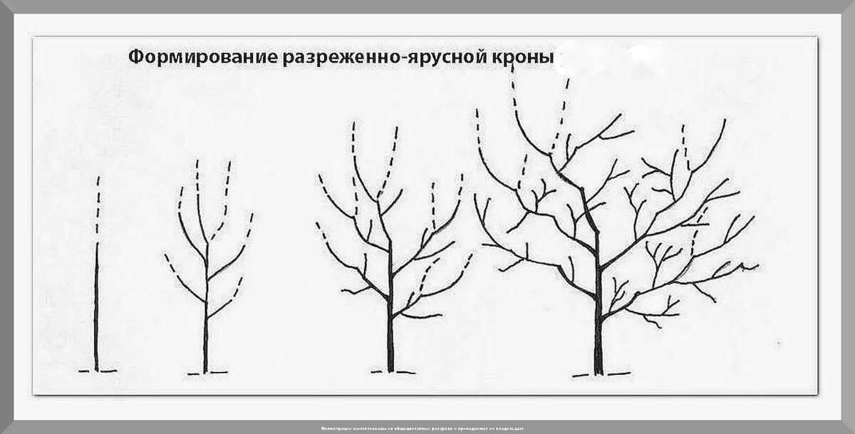 https://vk.com/photo-159774511_457269428