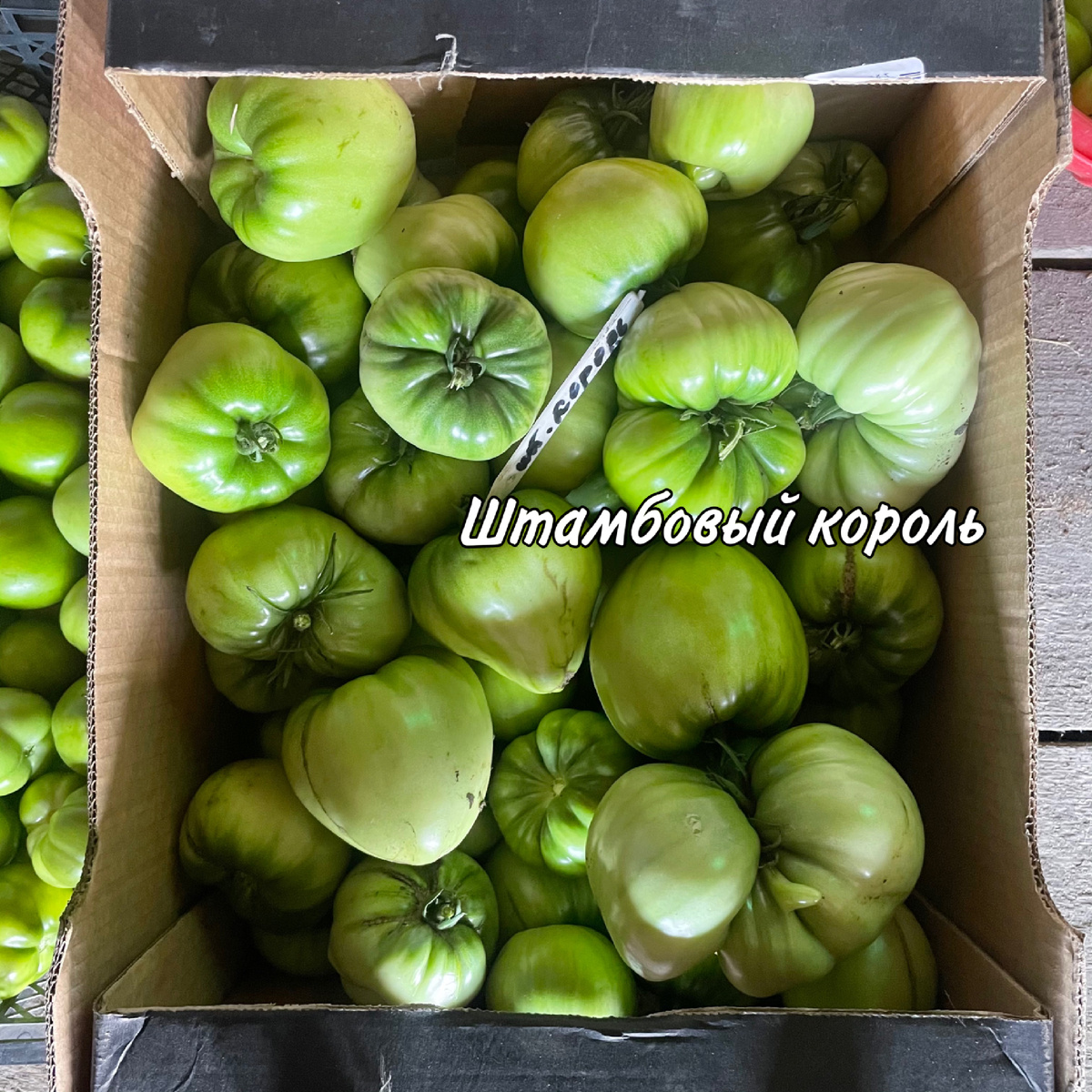 Фото автора.