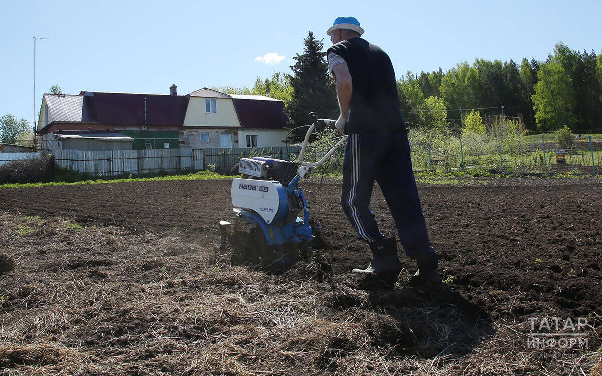 С 1 марта 2025 года вступает в силу федеральный закон, который вносит изменения в Земельный кодекс и в закон о садоводстве и огородничестве. Фото: © Султан Исхаков / «Татар-информ»