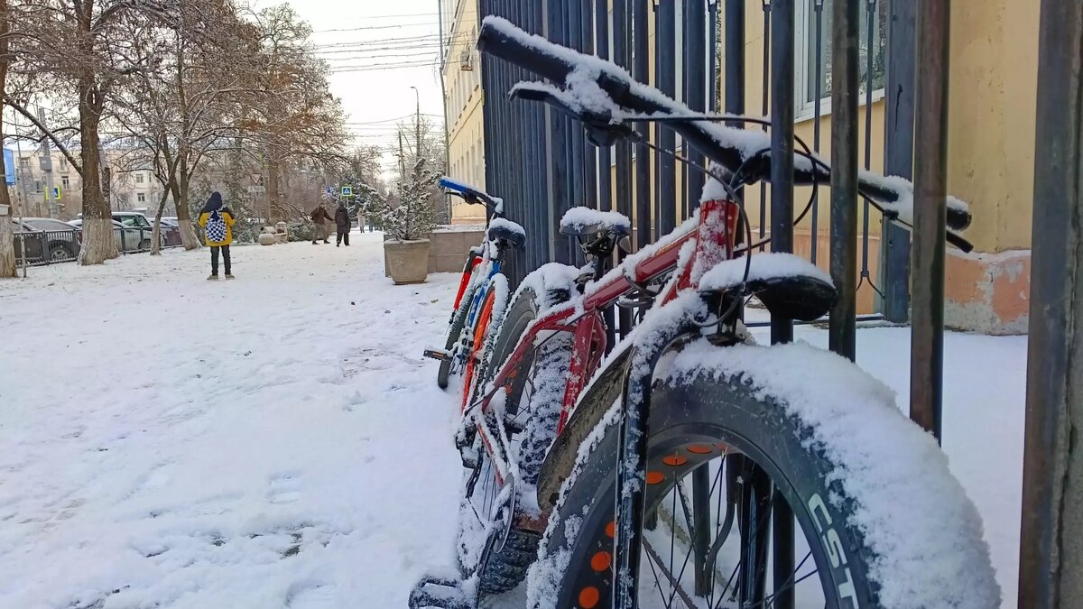     Источник: 1MI