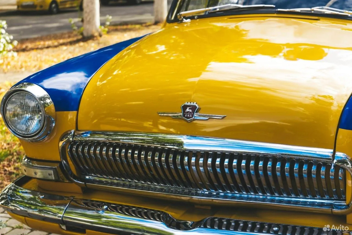 Фото: Avito  📷
