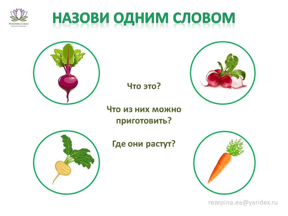 Обобщающее слово: корнеплоды