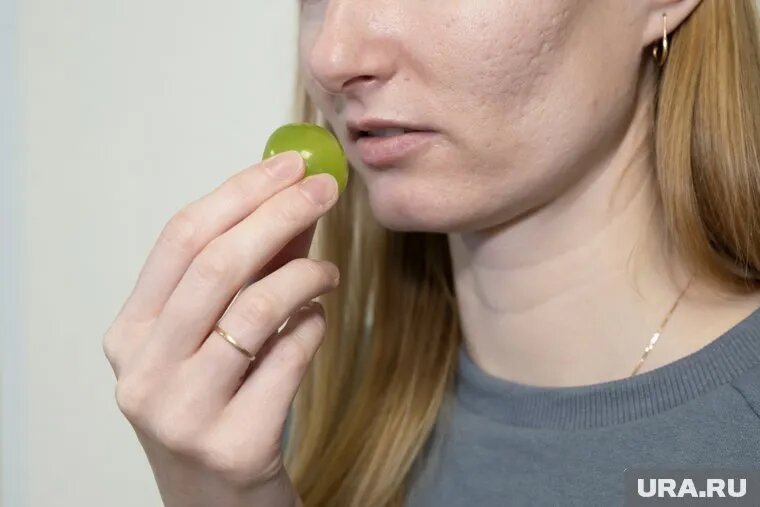 Мнения о винограде разделились. Фото: Руслан Яроцкий © URA.RU