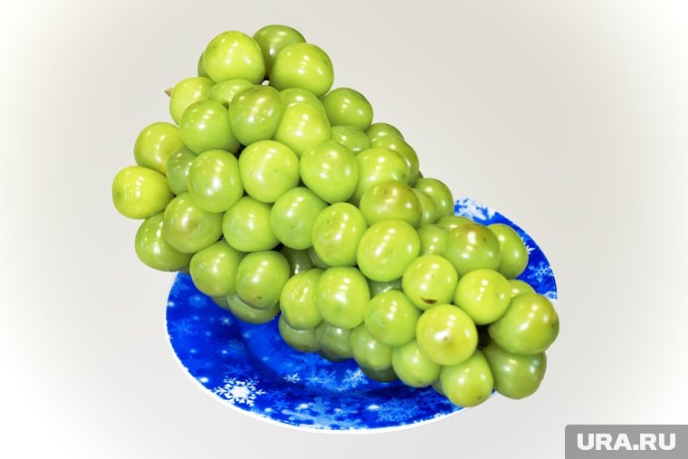 Килограмм винограда продают от 499,99 рублей. Фото: Руслан Яроцкий © URA.RU