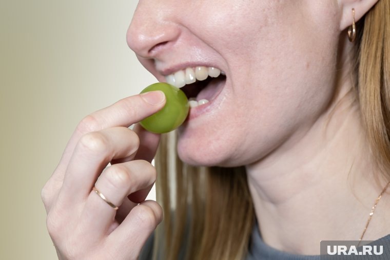 Мнение пермяков о вкусе ягод разделилось. Фото: Руслан Яроцкий © URA.RU