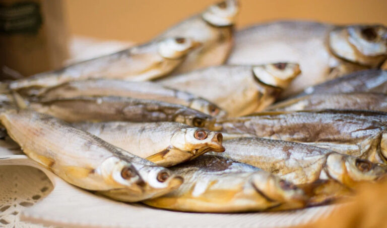    Фото: Общественная служба новостей Илья Мартов