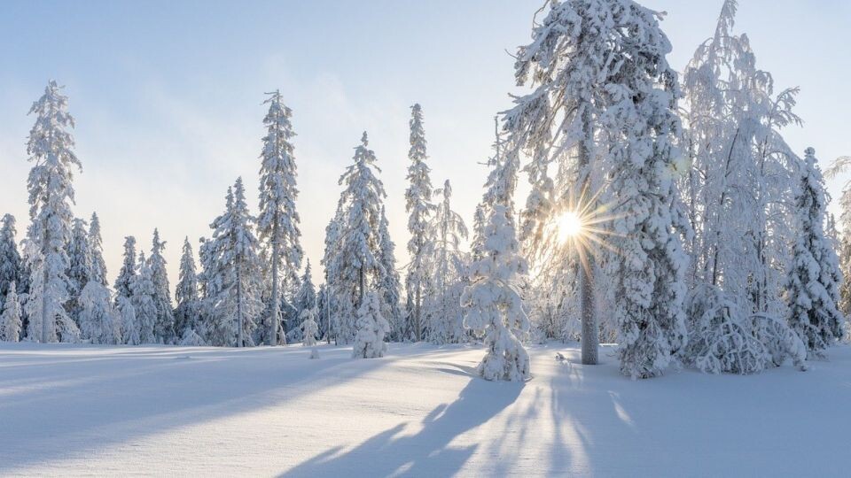    Мороз. Зима.. Источник: pixabay.com