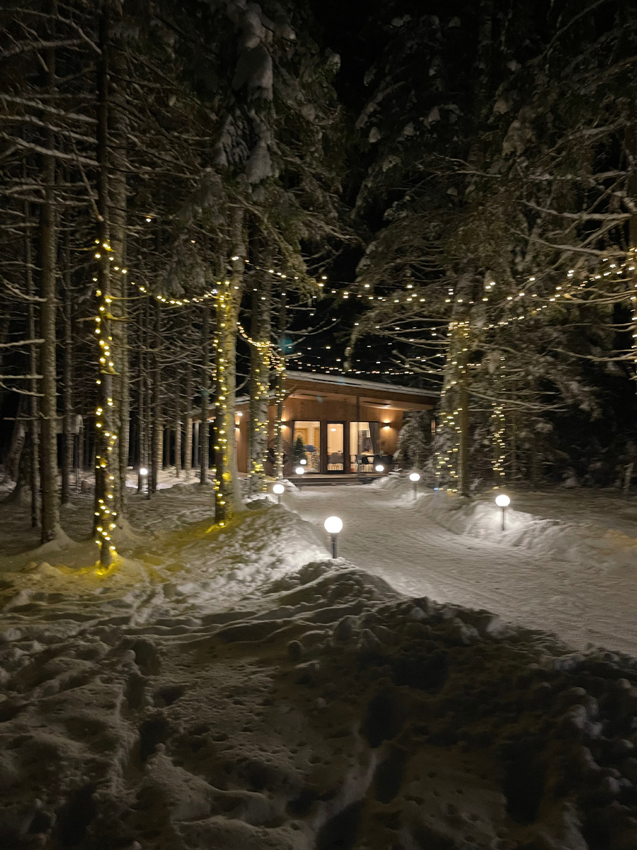 Наш домик в лесу