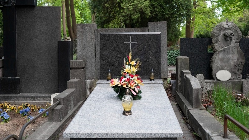 Фото: @freepik / freepik.com