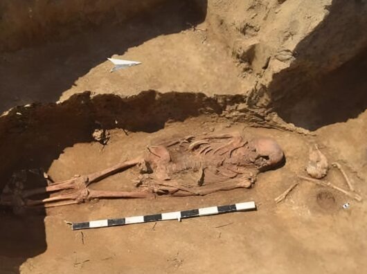    найденное древнее погребение на Станиславского/Чехова // фото: пресс-служба ЮФУ