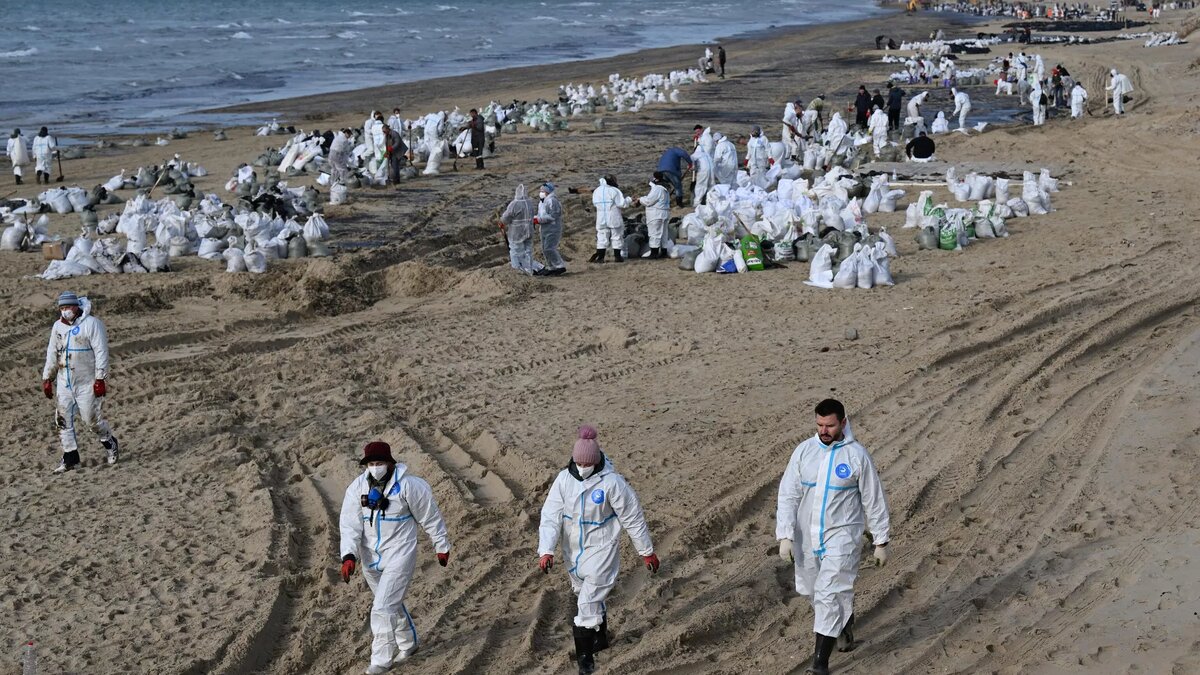 Фото: РИА Новости / Алексей Майшев