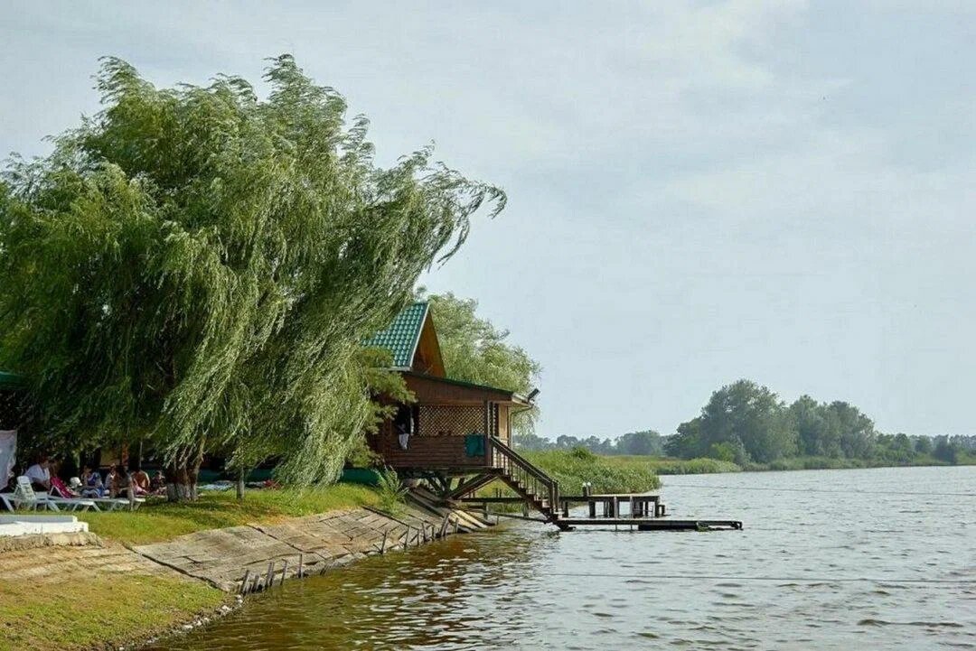 Река Ея. Крыловский район. Фото из открытых источников.