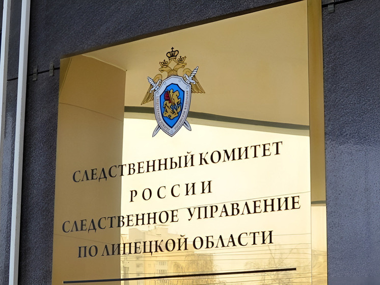     Фото: СУ СК России по Липецкой области