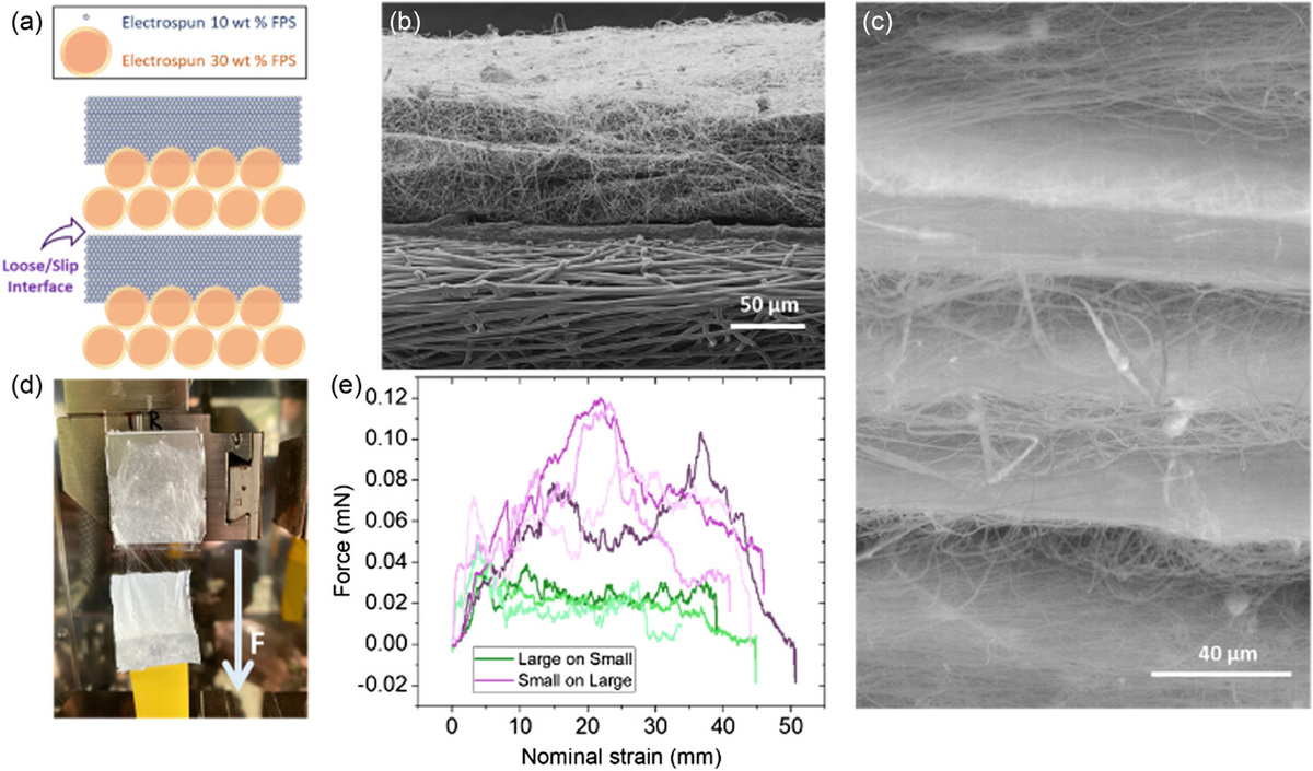 Рисунки: Мельбурнский университет
