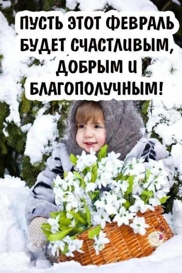 Картинка из доступных источников.