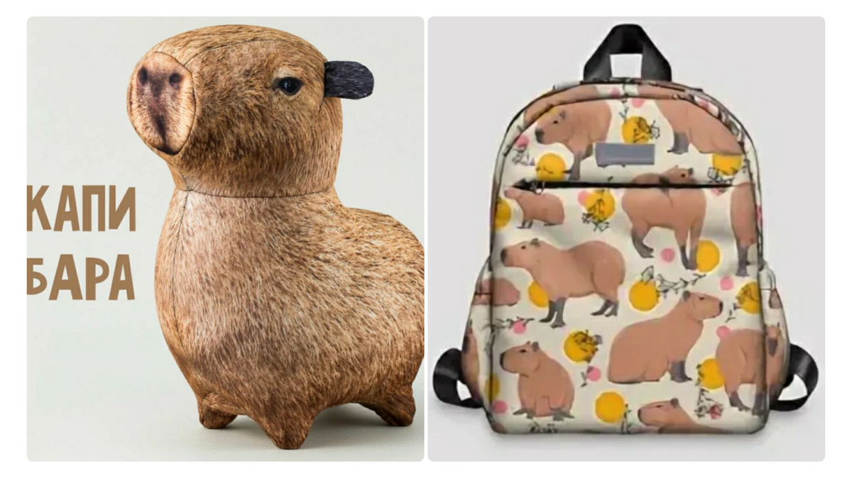 Вот коллаж из них сделала.