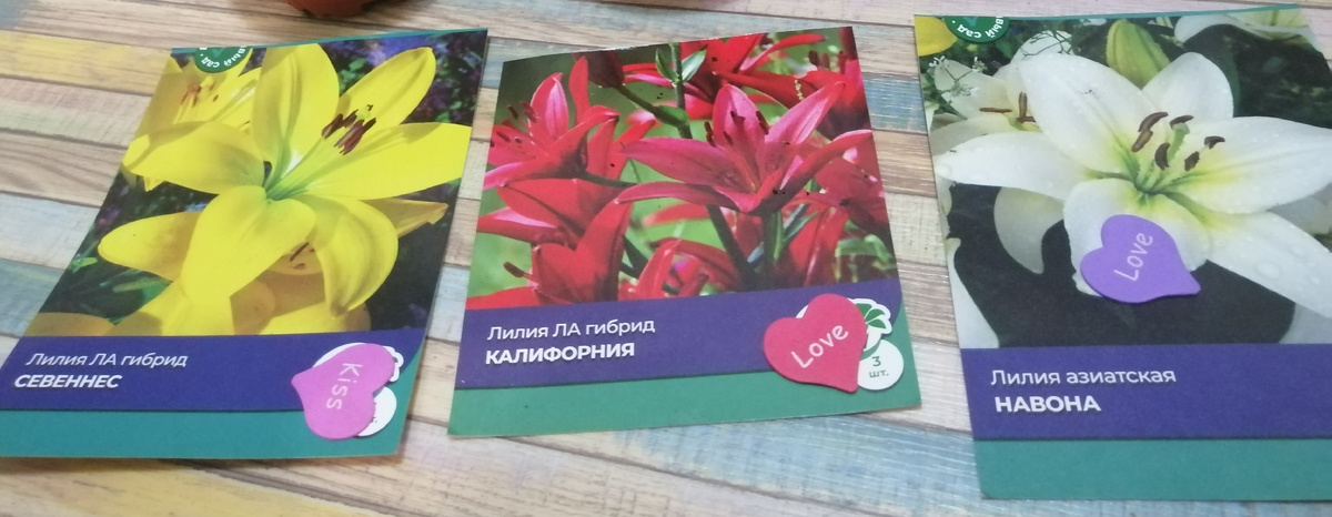 Лилии ЛА гибрит красная и жёлтая и белая азитская лилия