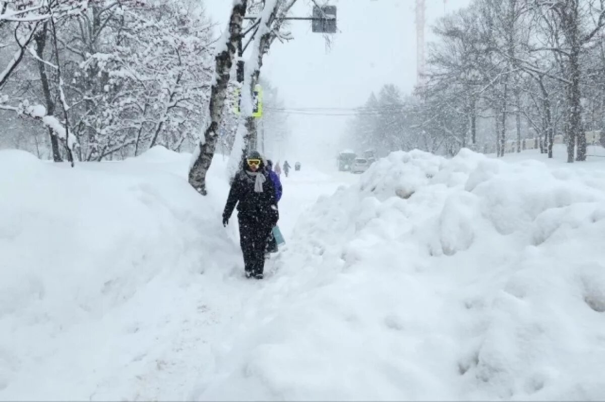    Снежный апокалипсис.