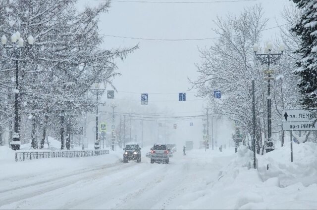    Фото: «АиФ-Сахалин»/ АиФ