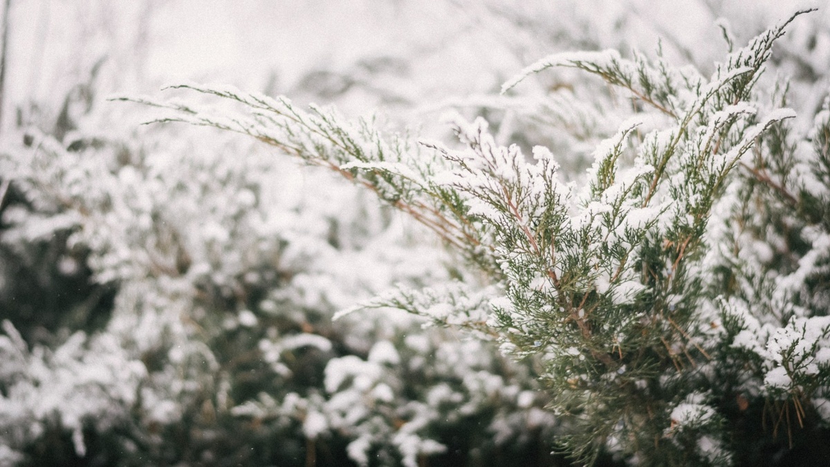     Источник: 1MI