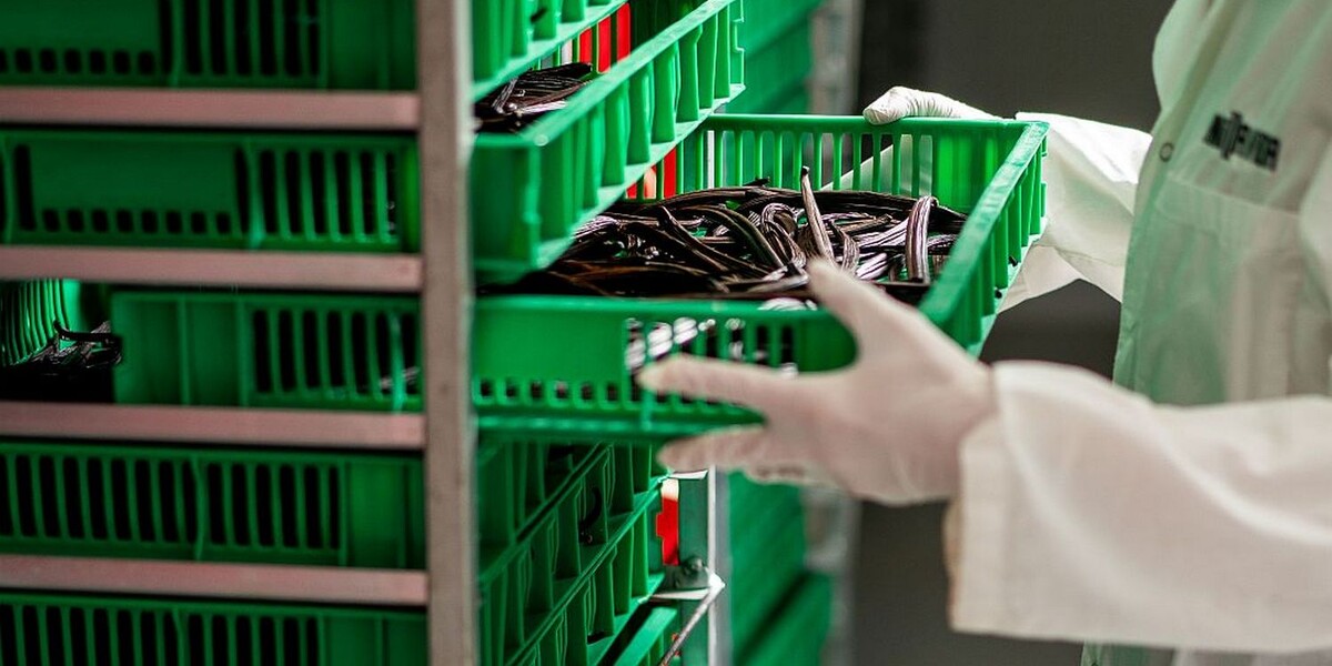 Фото: Vanilla Vida