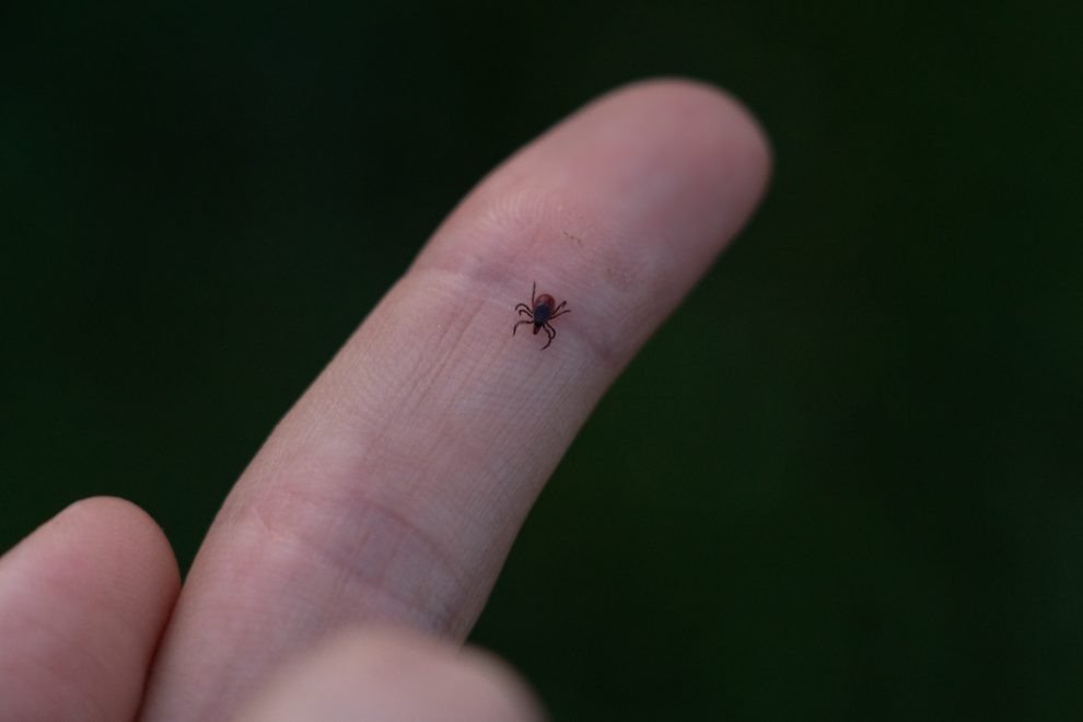 Фото: Андрей Зубов