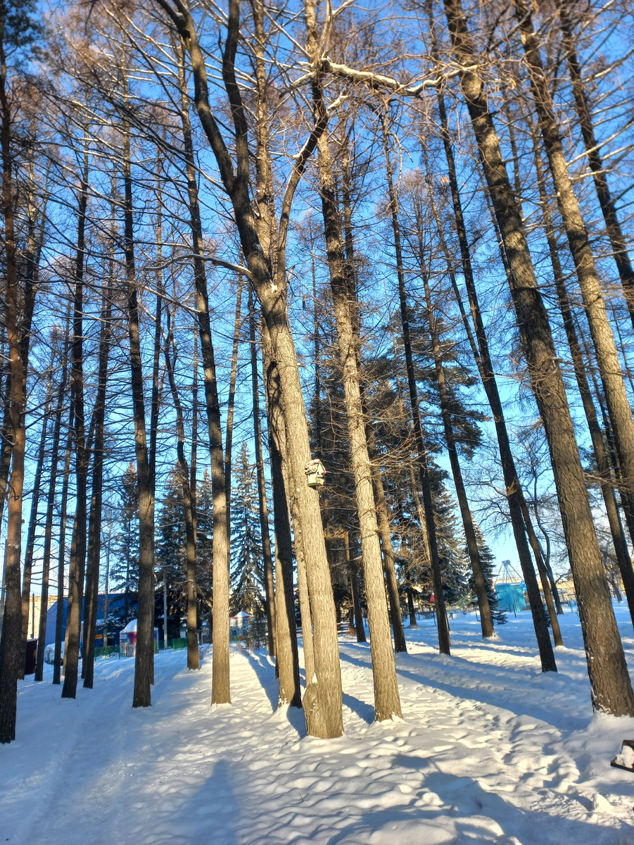 Ну красота же