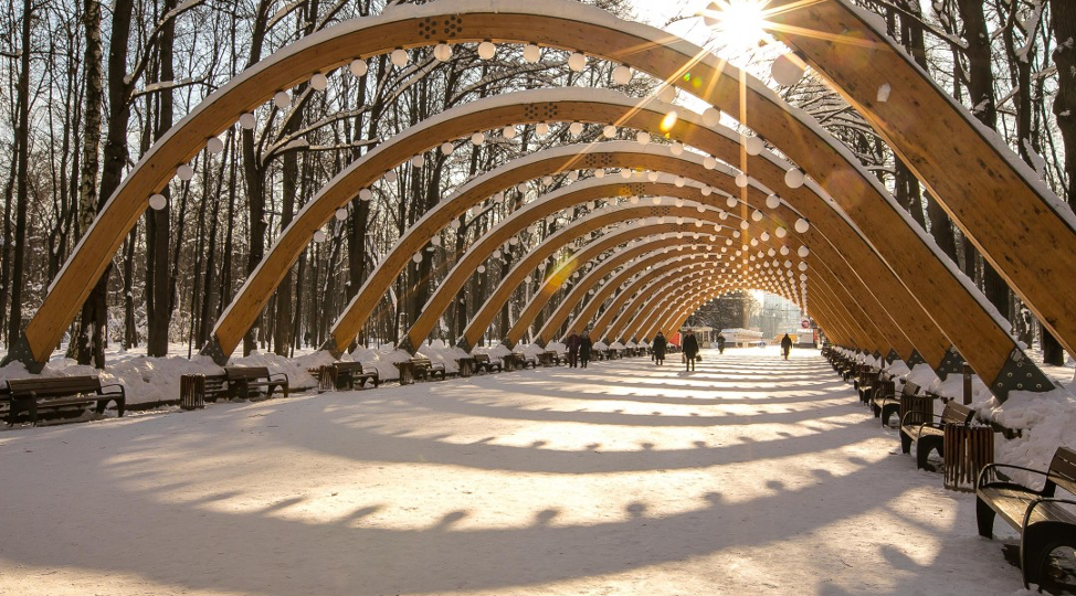 15 февраля 2025 года прогулка с доктором Шишониным в парке Сокольники