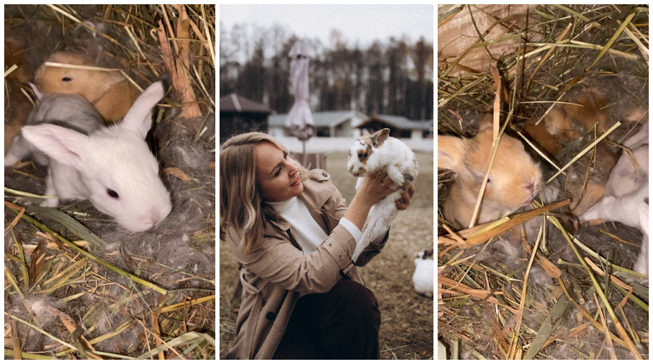 Кролики на Ферме Альпак 