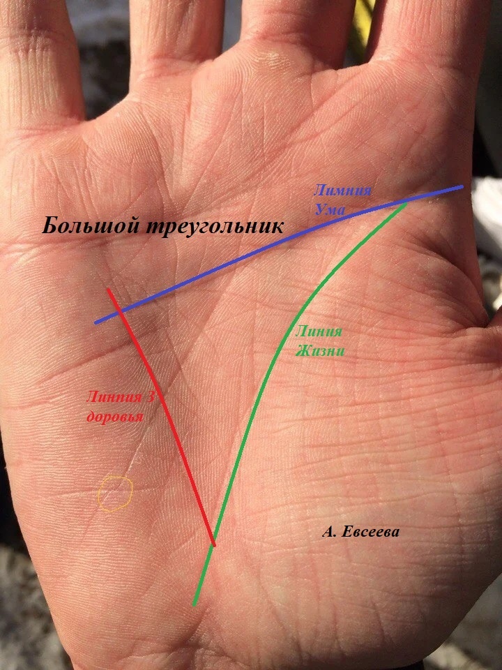 Фото из сети с моей редакцией.