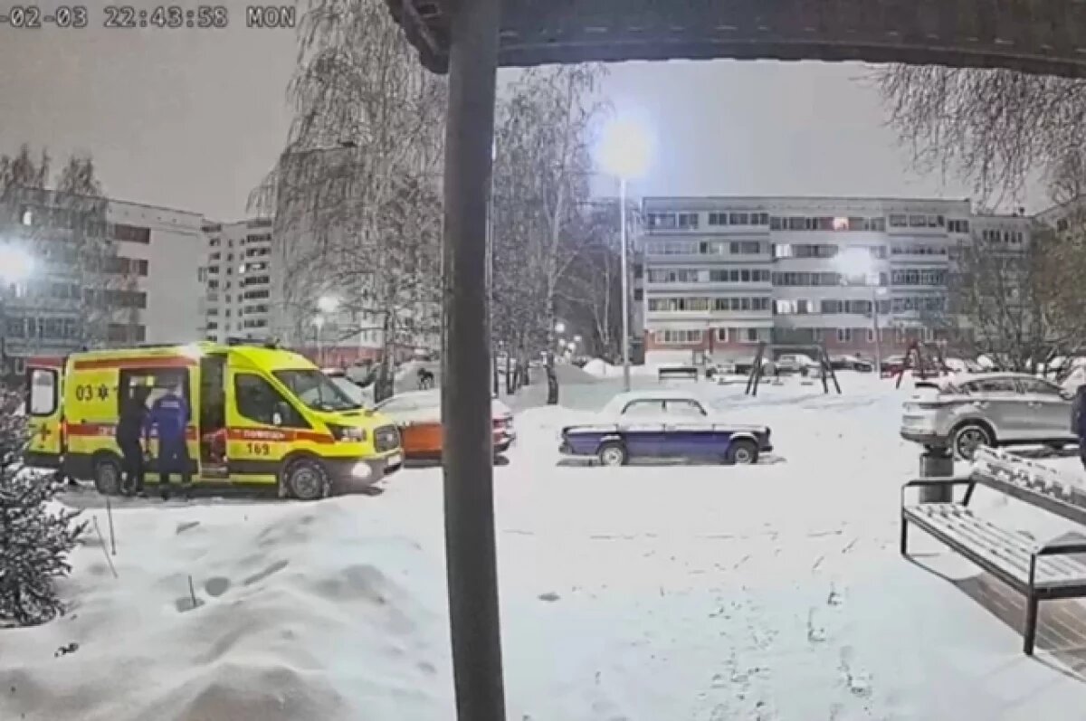    В Челнах «Хатико» ожидал в сугробе хозяина, которого забрала скорая