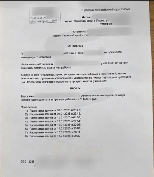 Текст искового заявления (источник: соцсети)