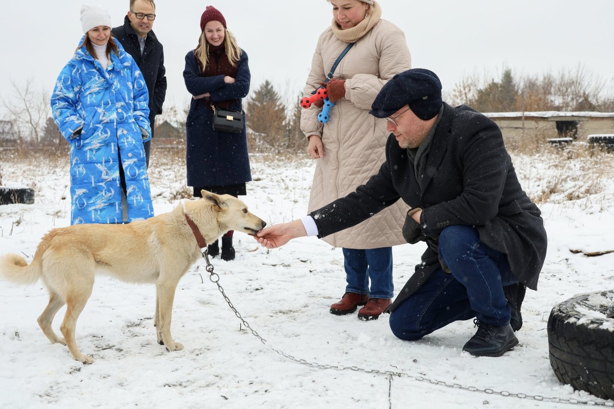Николай Рыбаков с Татьяной Шнейдер и членами Омского «Яблока» в приюте для животных в Омске, 2023 год. Фото: пресс-служба партии
