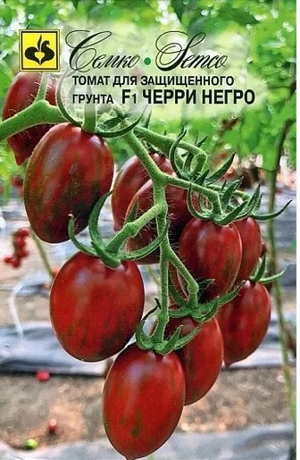 Черри Негро F1