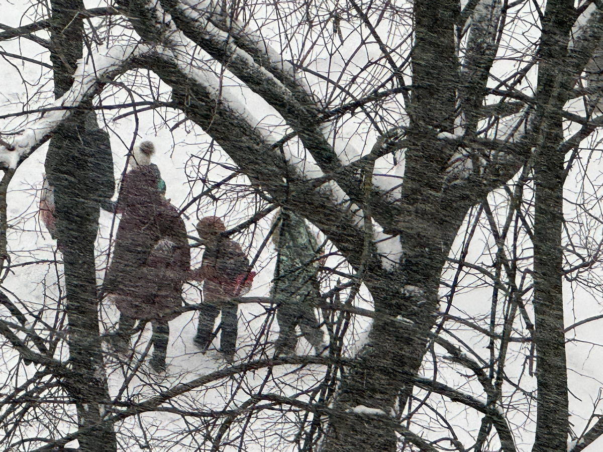 Фото: Alexander Legky/GlobalLookPress.