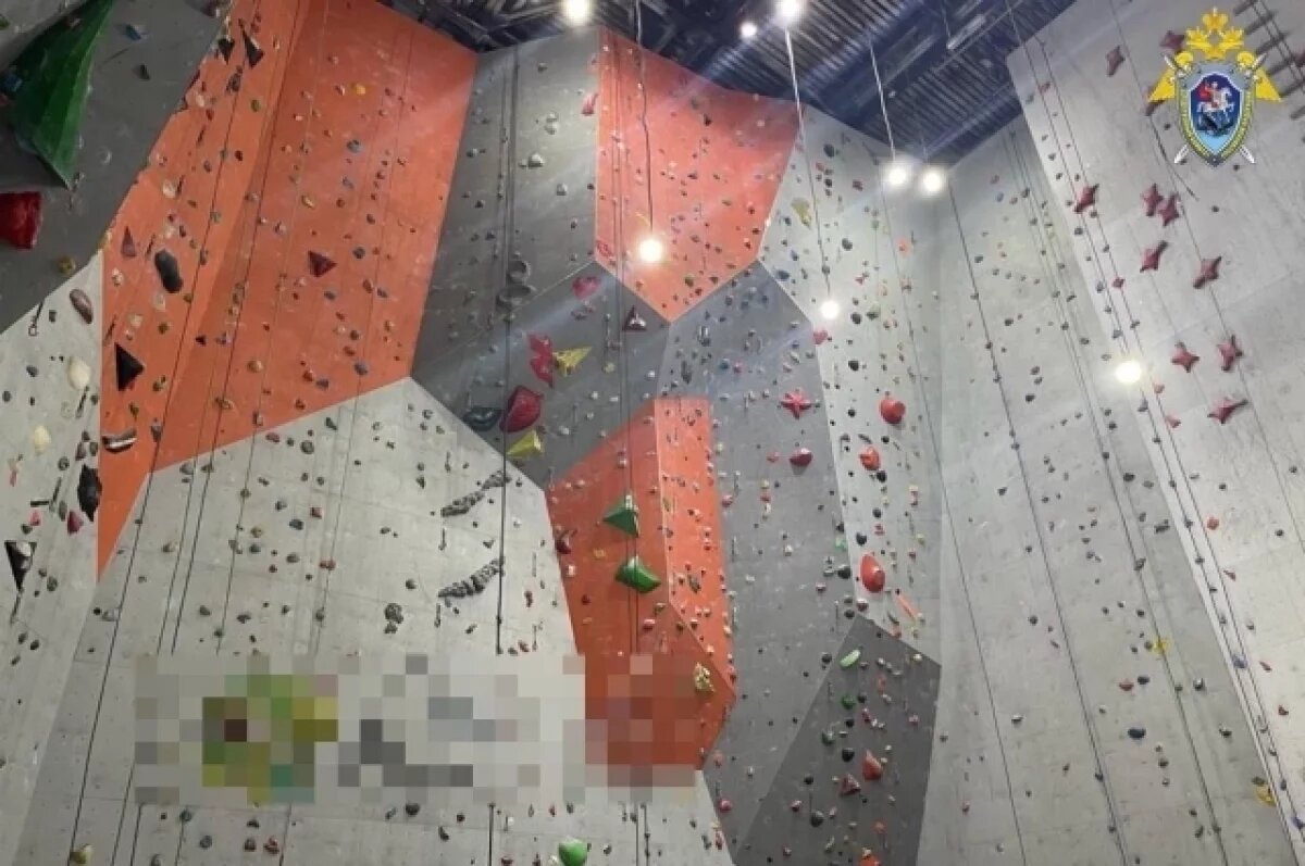    Владельцу скалодрома в Иркутске, на котором погиб человек, дали два года